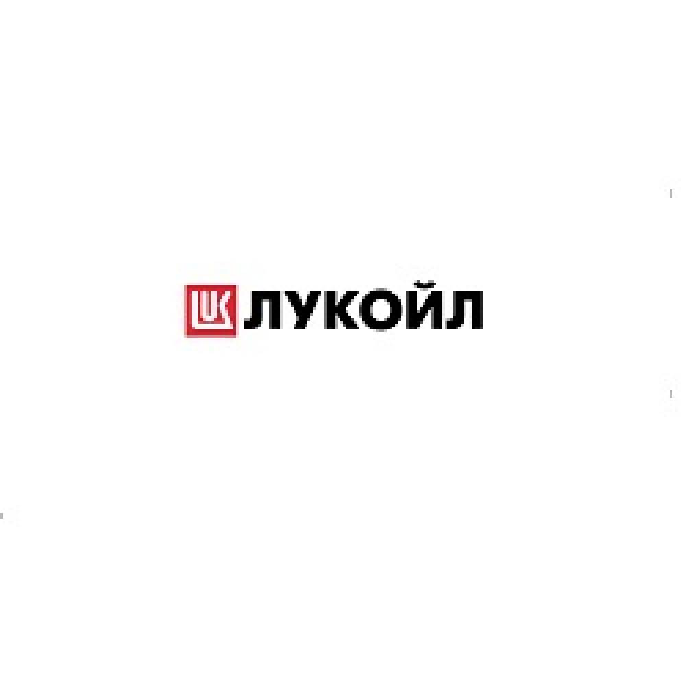 209Лукойл маг. Купоны