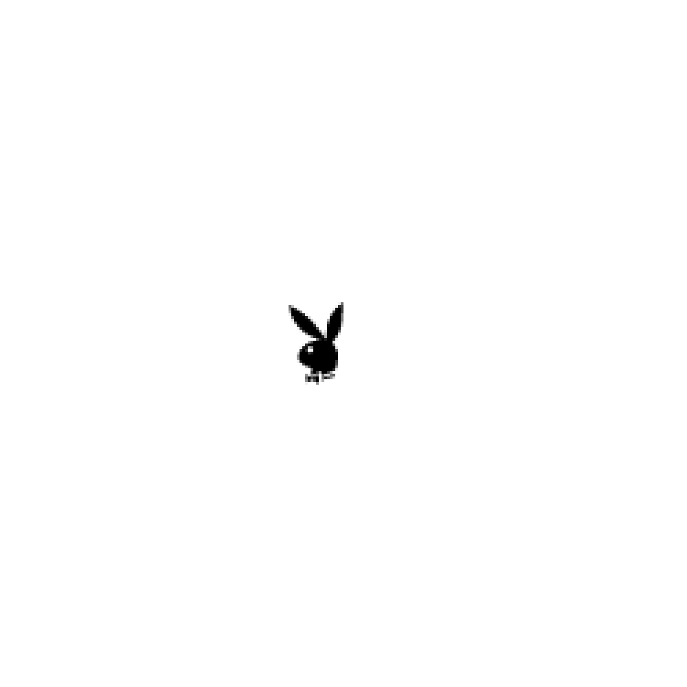 Playboy 